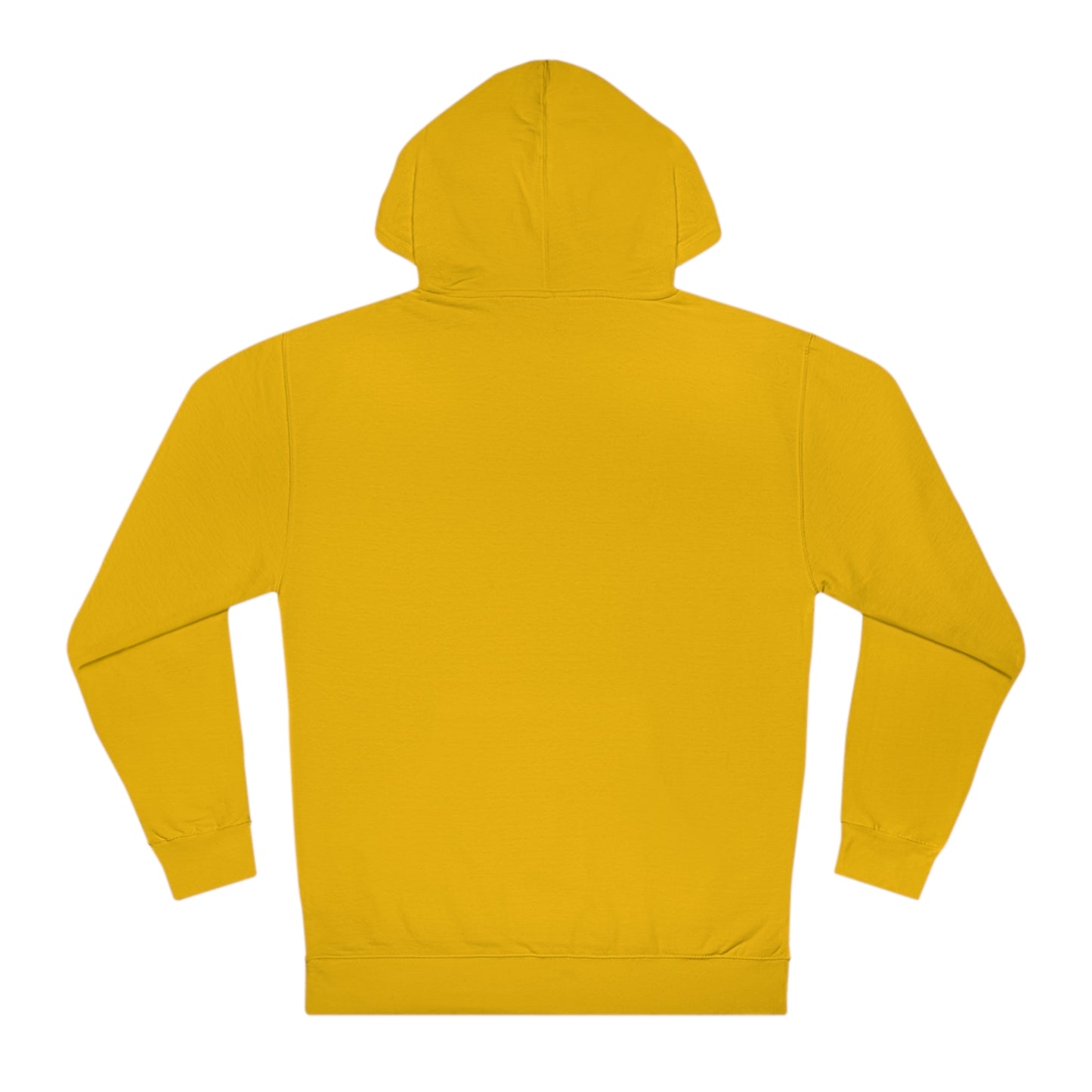 Black ExceLLence Flagship Hoodie